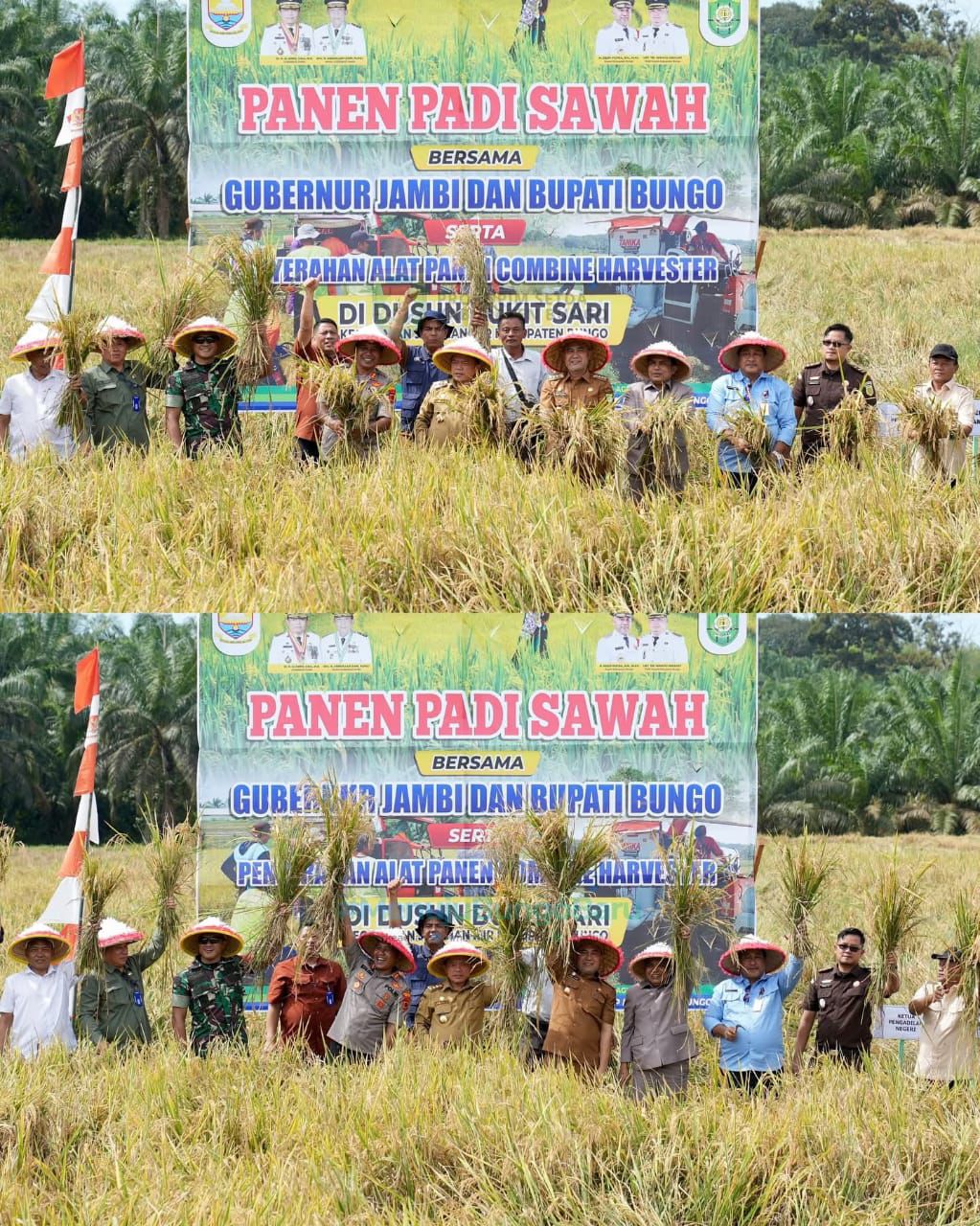 PANEN PADI SAWAH SERTA PENYERAHAN ALAT PANEN COMBINE HARVESTER 